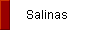  Salinas 