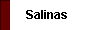  Salinas 